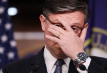 Mike Johnson’s Midterms Pitch Hits A Nerve Online