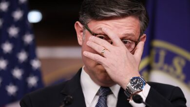Mike Johnson’s Midterms Pitch Hits A Nerve Online Mike Johnson’s Midterms Pitch Hits A Nerve Online
