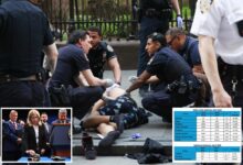 NYC crime plunges — with murders at all-time low — as NYPD boss reveals plan to keep streets safe for summer