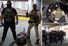 NYC hospital mob was defending illegal migrant with alleged violent, drug past