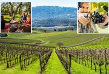 New figures reveal Napa Valley rival looming over Wine Country