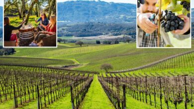 New figures reveal Napa Valley rival looming over Wine Country
