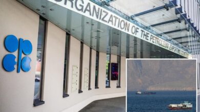OPEC+ agrees on third oil output quota hike since Hormuz closure