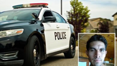 Santa Barbara man tortured, cooked his dog ‘Coco’ in front of family