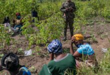 Second Ebola treatment center set on fire in epicenter of disease’s outbreak