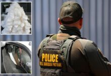 Secret compartments conceal millions of dollars in deadly drugs as Border Patrol arrest dozens