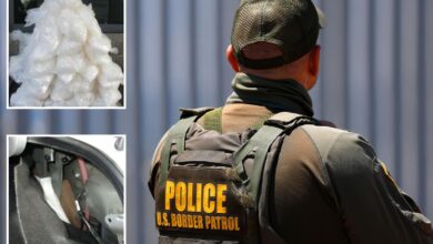 Secret compartments conceal millions of dollars in deadly drugs as Border Patrol arrest dozens