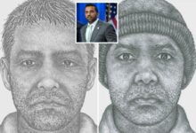 Serial rapist who rampaged through Indianapolis for a decade ID’d as illegal migrant thanks to ICE, feds say