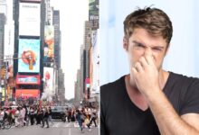 The Post sniffed out NYC’s smelliest neighborhoods, according to 311 complaints