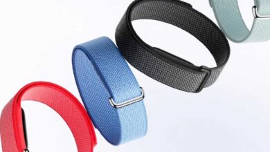 This Fitbit Air Colour is Already Delayed This Fitbit Air Colour is Already Delayed