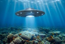 UFO tracker app spots thousands of mysterious underwater objects off US shores