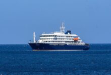 Version of hantavirus behind deadly cruise ship outbreak matches known strain, France says