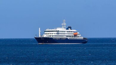 Version of hantavirus behind deadly cruise ship outbreak matches known strain, France says