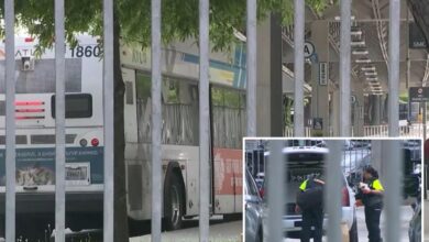 Woman stabbed to death on Atlanta MARTA train in ‘senseless’ attack, suspect arrested