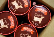 Ice cream sold in 17 states recalled for potential metal fragments