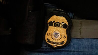 Dave Venturella to serve as acting ICE director, DHS announces