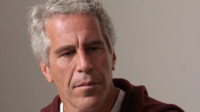 ‘Time to say goodbye,’ Epstein allegedly wrote in newly released purported suicide note