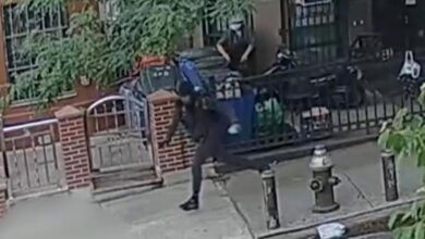 2 young men shot as Brooklyn Puerto Rican Day Parade wraps up: cops 2 young men shot as Brooklyn Puerto Rican Day Parade wraps up: cops