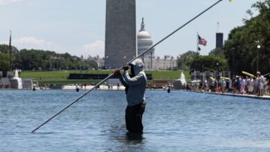 Trump says multiple people arrested over alleged vandalism at Lincoln Memorial Reflecting Pool Trump says multiple people arrested over alleged vandalism at Lincoln Memorial Reflecting Pool