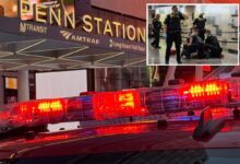 5 stabbed in bloody attack inside Penn Station — suspect in custody