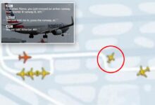 American Airlines plane forced to abort takeoff after another jet veers onto same runway at Miami airport
