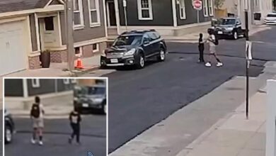 Boy, 14, arrested for robbing children’s lemonade stand at gunpoint in Boston Boy, 14, arrested for robbing children’s lemonade stand at gunpoint in Boston