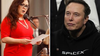 California labor boss’s shocking three-word tweet aimed at Elon Musk resurfaces California labor boss’s shocking three-word tweet aimed at Elon Musk resurfaces