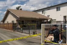 California mom Melissa Lynn Beisel charged with murdering her toddler son and staging death as accidental drowning