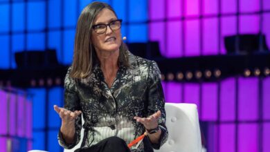 Cathie Wood buys 9.7 million of popular new stock Cathie Wood buys 9.7 million of popular new stock