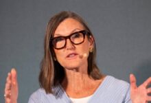 Cathie Wood dumps nearly million in popular growth stocks