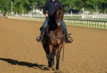Cherie DeVaux returns to familiar Saratoga for the Belmont after her historic Kentucky Derby