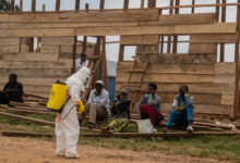 Ebola outbreak: Cases increase almost 40% in a week, deaths pass 200