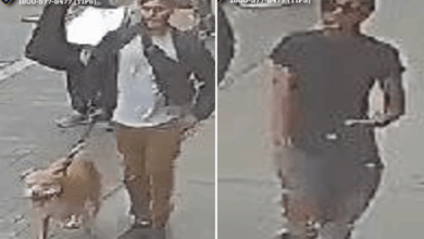 Good Samaritan pepper-sprayed, slashed by violent pair after intervening in NYC ‘dog fight’: cops