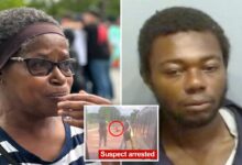 Great-grandmother fatally stabbed on Atlanta MARTA carried a knife — but ‘didn’t have time protect herself’