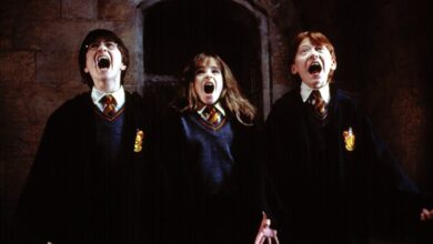 ‘Harry Potter’ Movies to Air on Paramount Linear Networks Under Deal