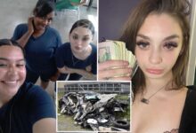 ‘Hell on Wheels’ killer Mackenzie Shirilla lands new job in Ohio prison where she’s serving a life sentence