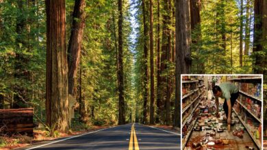 Hidden fault capable of devastating earthquakes uncovered deep in California forest