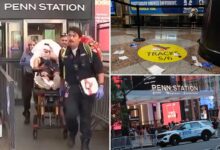 Homeless maniac arrested in bloody Penn Station rampage