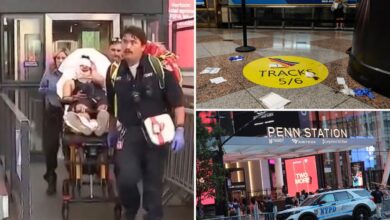 Homeless maniac arrested in bloody Penn Station rampage Homeless maniac arrested in bloody Penn Station rampage