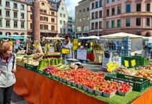 Inflation hits 3.2% in the euro zone as energy costs climb higher