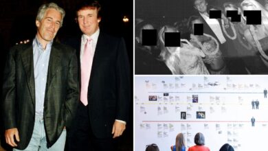 Jeffrey Epstein was obsessed with trying to take down Trump before suicide: report