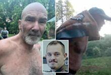 Man wanted in deputy ambush Michael Puckett caught after wildlife camera sighting and major manhunt Man wanted in deputy ambush Michael Puckett caught after wildlife camera sighting and major manhunt