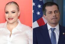Meghan McCain Reacts to Pete Buttegieg CPS Investigation