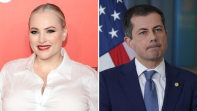 Meghan McCain Reacts to Pete Buttegieg CPS Investigation