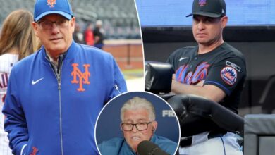 Mike Francesa’s ‘witness protection’ callout for Steve Cohen as Mets fire Carlos Mendoza