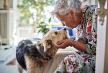Survey: Pet Owners Can’t Keep up With Rising Vet Costs
