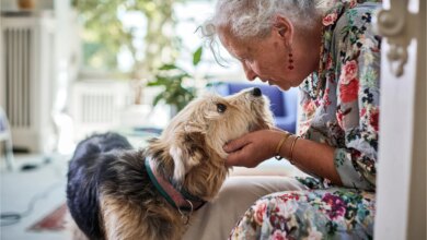 Survey: Pet Owners Can’t Keep up With Rising Vet Costs