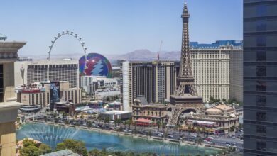 Nevada workforce is expanding thanks to AI boom, diversifying economy Nevada workforce is expanding thanks to AI boom, diversifying economy