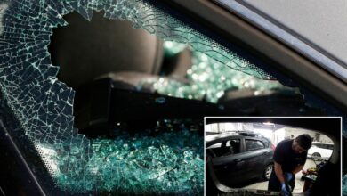 Oakland car break-ins plummet in blow to local glass repair shops Oakland car break-ins plummet in blow to local glass repair shops
