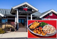 Red Lobster’s disastrous ‘Endless Shrimp’ deal was owner’s scheme to squeeze profits: lawsuit